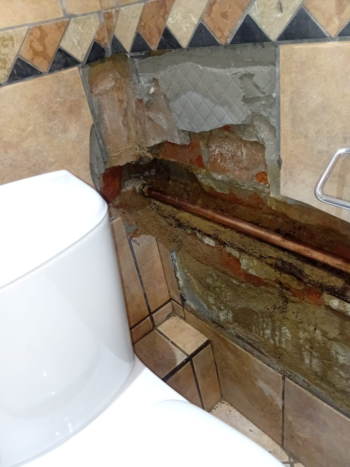 In-Wall Leak Repair